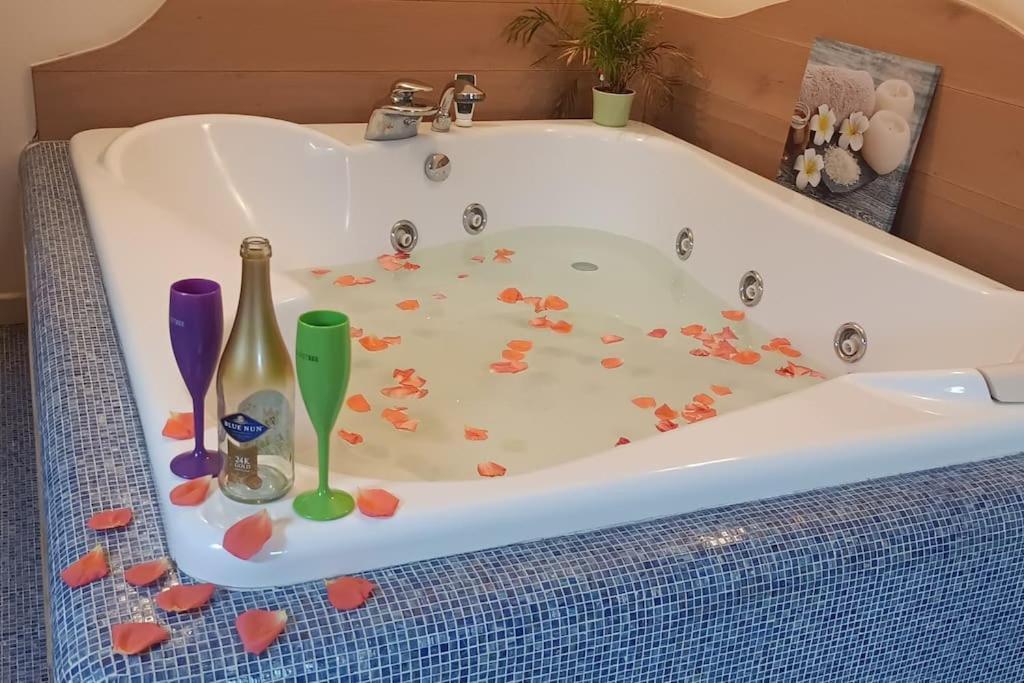 Central Terrace Escape With Jacuzzi Тимишоара Екстериор снимка