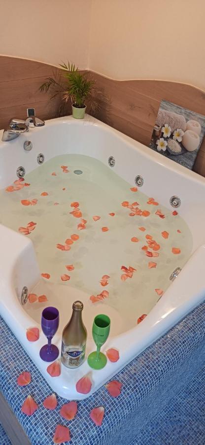 Central Terrace Escape With Jacuzzi Тимишоара Екстериор снимка