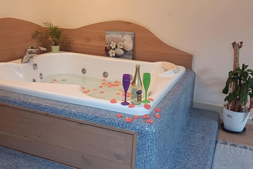Central Terrace Escape With Jacuzzi Тимишоара Екстериор снимка