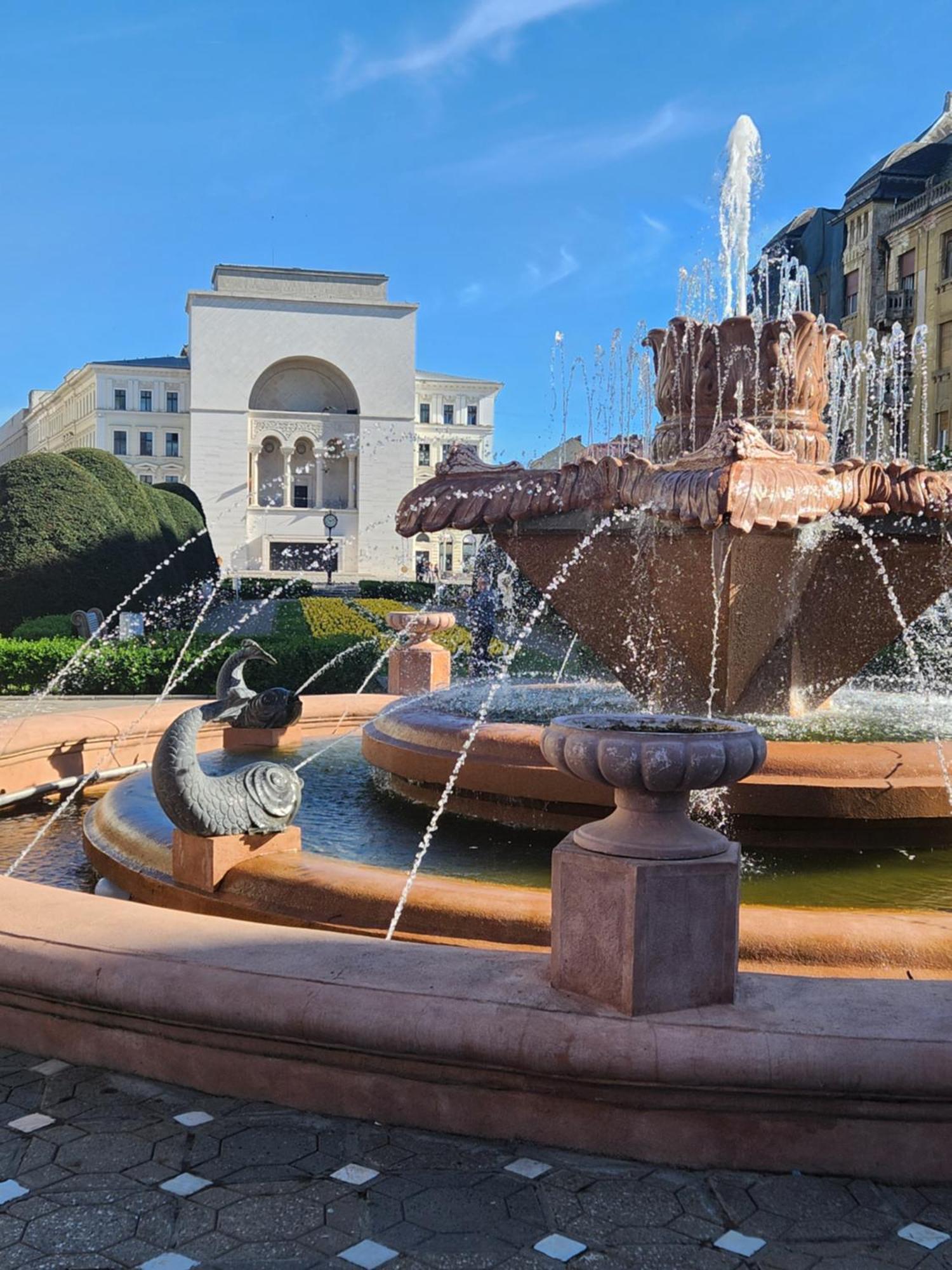 Central Terrace Escape With Jacuzzi Тимишоара Екстериор снимка