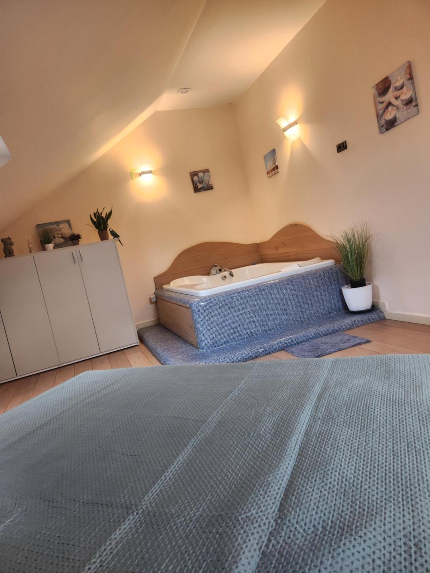 Central Terrace Escape With Jacuzzi Тимишоара Екстериор снимка