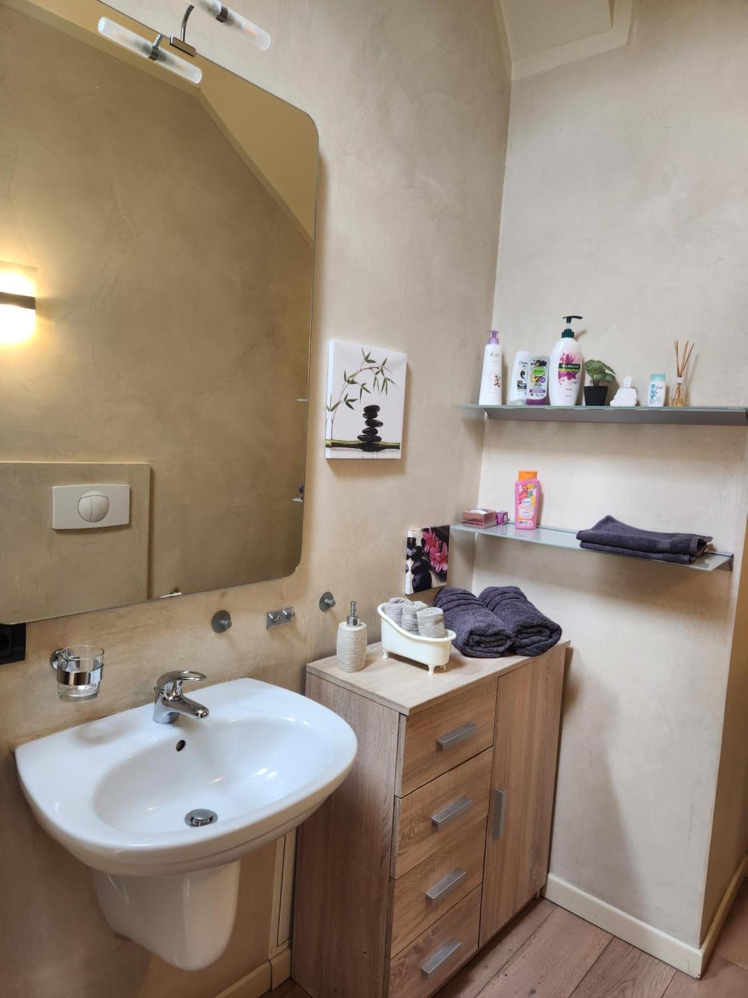 Central Terrace Escape With Jacuzzi Тимишоара Екстериор снимка