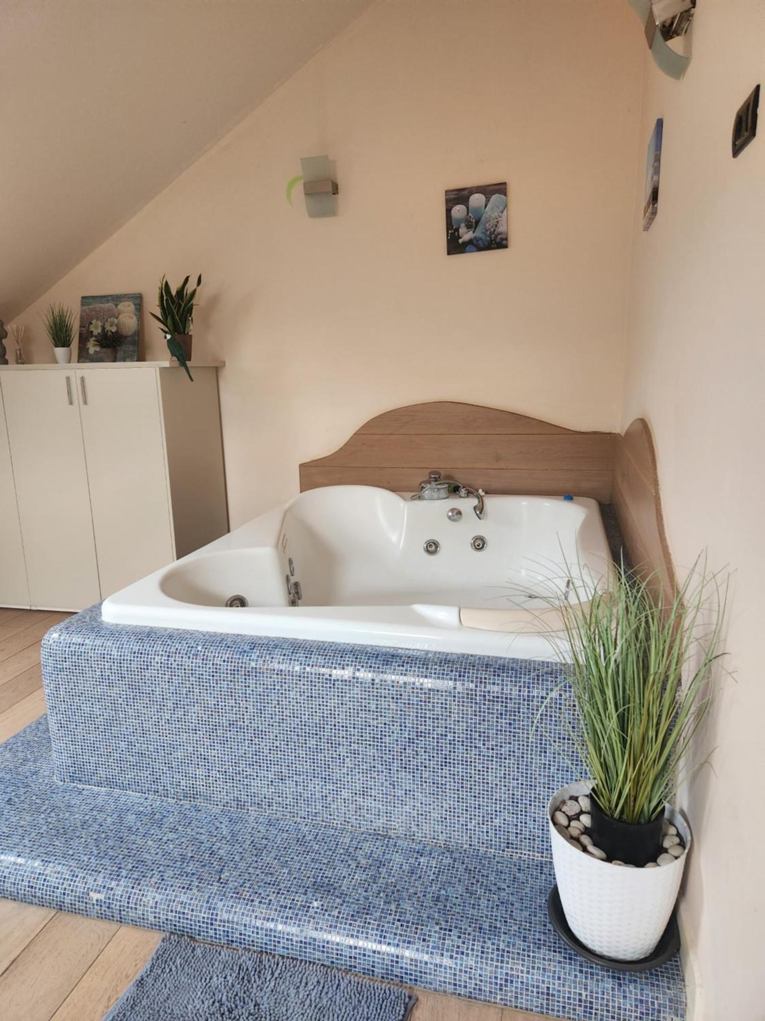 Central Terrace Escape With Jacuzzi Тимишоара Екстериор снимка