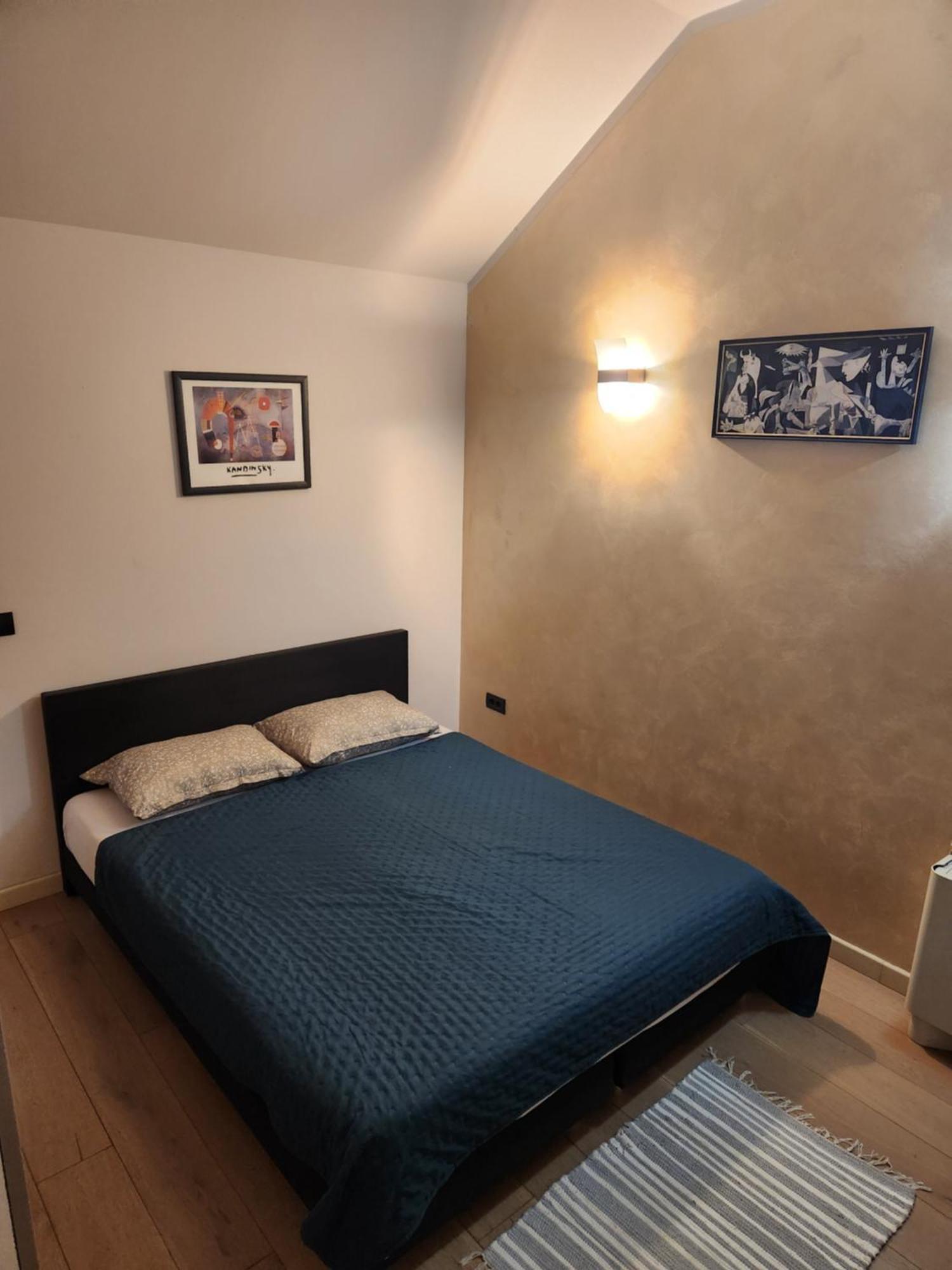 Central Terrace Escape With Jacuzzi Тимишоара Екстериор снимка