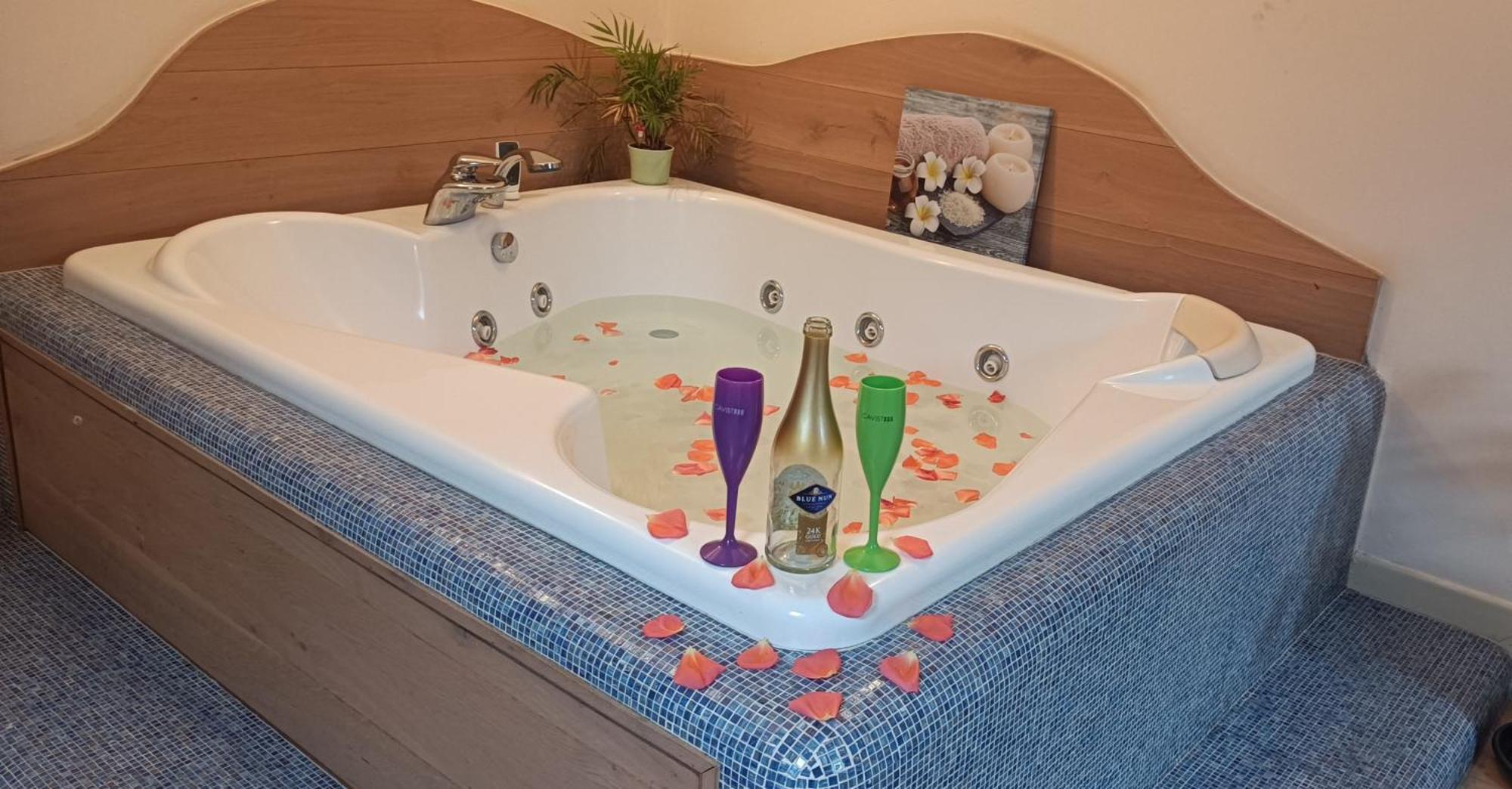 Central Terrace Escape With Jacuzzi Тимишоара Екстериор снимка